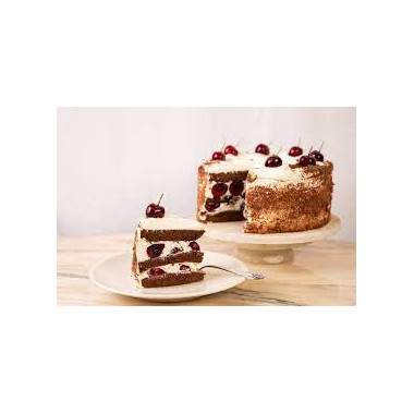 SELVA NEGRA 12 RACIONES